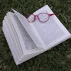 La imagen 24 de la Empresa EL MUNDO DE LAS LUPAS - LENSFORVISION Servicios Profesionales y de Negocios en Sevilla SE