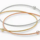 La imagen 12 de la Empresa EL TALLER DE L'ORFEBRE Joyeria: Establecimientos en Terrassa B