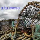 La imagen 1 de la Empresa EL YANTAR DE IBERIA Tiendas y Productores de Alimentos en Benidorm A