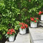 La imagen 19 de la Empresa ELDUAIEN ONDARRETA Educación en Donostia SS