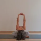 La imagen 6 de la Empresa ELENA FERRARIS YOGA Yoga en Madrid M