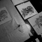 La imagen 29 de la Empresa ESCUELA DE TATUAJE EOMTP Tatuajes y Piercings en Madrid M