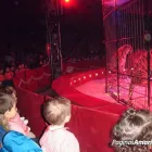 La imagen 8 de la Empresa ESCUELA INFANTIL BILINGÜE CENTRO VIDA Guarderías en Madrid M