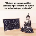 La imagen 8 de la Empresa ESPACIO TERAPÉUTICO RENACER MADRID Terapias Alternativas y Complementarias en Madrid M