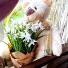 La imagen 4 de la Empresa ESSENS Productos y Servicios de Cuidado Personal en Ingenio GC