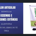 La imagen 13 de la Empresa ESSENS Productos y Servicios de Cuidado Personal en Ingenio GC