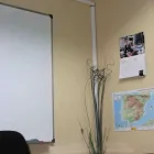 La imagen 6 de la Empresa ESTUDIOS ROMA Idiomas: EnseÑanza en Salamanca SA