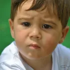 La imagen 1 de la Empresa FINCAT - NETCAT Tasación y Valoración en Sabadell B