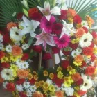 La imagen 1 de la Empresa FIOREBUIN Industrias y Agricultura en Madrid M