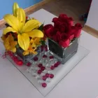 La imagen 2 de la Empresa FIOREBUIN Industrias y Agricultura en Madrid M