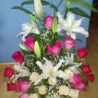 La imagen 3 de la Empresa FIOREBUIN Industrias y Agricultura en Madrid M