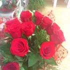 La imagen 4 de la Empresa FIOREBUIN Industrias y Agricultura en Madrid M