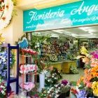 La imagen 1 de la Empresa FLORISTERÍA ÁNGELES Industrias y Agricultura en Campanillas MA