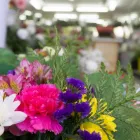 La imagen 3 de la Empresa FLORISTERÍA ÁNGELES Industrias y Agricultura en Campanillas MA