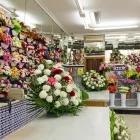 La imagen 4 de la Empresa FLORISTERÍA ÁNGELES Industrias y Agricultura en Campanillas MA