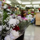 La imagen 6 de la Empresa FLORISTERÍA ÁNGELES Industrias y Agricultura en Campanillas MA