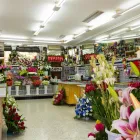 La imagen 8 de la Empresa FLORISTERÍA ÁNGELES Industrias y Agricultura en Campanillas MA