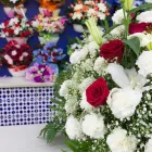 La imagen 10 de la Empresa FLORISTERÍA ÁNGELES Industrias y Agricultura en Campanillas MA