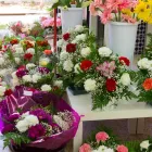 La imagen 11 de la Empresa FLORISTERÍA ÁNGELES Industrias y Agricultura en Campanillas MA