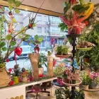 La imagen 5 de la Empresa FLORISTERÍA CAMINO DE ROSAS Industrias y Agricultura en Leganés M