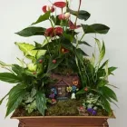 La imagen 6 de la Empresa FLORISTERÍA CAMINO DE ROSAS Industrias y Agricultura en Leganés M