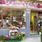 La imagen 8 de la Empresa FLORISTERÍA CAMINO DE ROSAS Industrias y Agricultura en Leganés M