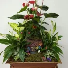 La imagen 9 de la Empresa FLORISTERÍA CAMINO DE ROSAS Industrias y Agricultura en Leganés M