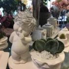 La imagen 3 de la Empresa FLORISTERÍA FLORYSEM Industrias y Agricultura en Badajoz BA