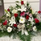 La imagen 1 de la Empresa FLORISTERÍA IKEBANA VALLADOLID Industrias y Agricultura en Valladolid VA
