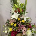 La imagen 3 de la Empresa FLORISTERÍA IKEBANA VALLADOLID Industrias y Agricultura en Valladolid VA