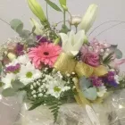La imagen 5 de la Empresa FLORISTERÍA IKEBANA VALLADOLID Industrias y Agricultura en Valladolid VA