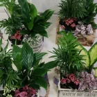 La imagen 6 de la Empresa FLORISTERÍA IKEBANA VALLADOLID Industrias y Agricultura en Valladolid VA