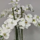 La imagen 9 de la Empresa FLORISTERÍA IKEBANA VALLADOLID Industrias y Agricultura en Valladolid VA