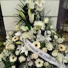 La imagen 10 de la Empresa FLORISTERÍA IKEBANA VALLADOLID Industrias y Agricultura en Valladolid VA