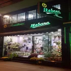 La imagen 11 de la Empresa FLORISTERÍA IKEBANA VALLADOLID Industrias y Agricultura en Valladolid VA