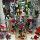 La imagen 33 de la Empresa FLORISTERÍA IKEBANA VALLADOLID Industrias y Agricultura en Valladolid VA