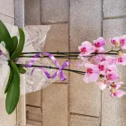 La imagen 1 de la Empresa FLORISTERÍA LA CAMELIA Industrias y Agricultura en Santa Cruz de Tenerife TF