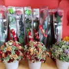 La imagen 8 de la Empresa FLORISTERÍA LA CAMELIA Industrias y Agricultura en Santa Cruz de Tenerife TF