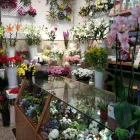 La imagen 3 de la Empresa FLORISTERÍA MANOS VERDES Industrias y Agricultura en Madrid M