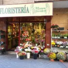 La imagen 6 de la Empresa FLORISTERÍA MANOS VERDES Industrias y Agricultura en Madrid M