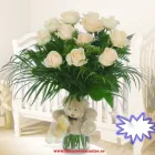 La imagen 7 de la Empresa FLORISTERIA MONTSE Jardineria Articulos Y Servicios: Centros (garden Center) en Móstoles M