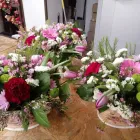 La imagen 13 de la Empresa FLORISTERÍA VERDE Y EN BOTELLA Industrias y Agricultura en Madrid M