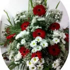 La imagen 3 de la Empresa FLORJUSA FLORISTERIA Industrias y Agricultura en Salamanca SA