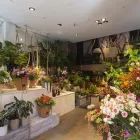 La imagen 1 de la Empresa FLORS ZINNIA Floristerias en Barcelona B