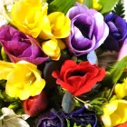 La imagen 1 de la Empresa FLOWERS TO BARCELONA Jardineria: Empresas De Servicios en Barcelona B