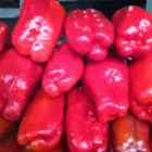 La imagen 8 de la Empresa FRUTAS BARCELO Tiendas y Productores de Alimentos en Madrid M