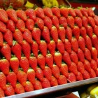 La imagen 1 de la Empresa FRUTAS CHARITO Mercados De Alimentacion en Madrid M
