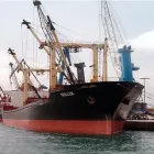 La imagen 2 de la Empresa FUMIGACIONES TIRAJANA Servicios Profesionales y de Negocios en Ingenio GC