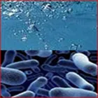 La imagen 4 de la Empresa FUMIGACIONES TIRAJANA Servicios Profesionales y de Negocios en Ingenio GC