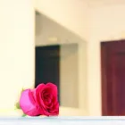 La imagen 4 de la Empresa FUNERARIAS CAMERO Tanatorios y Gestión Funeraria en Benalmádena MA